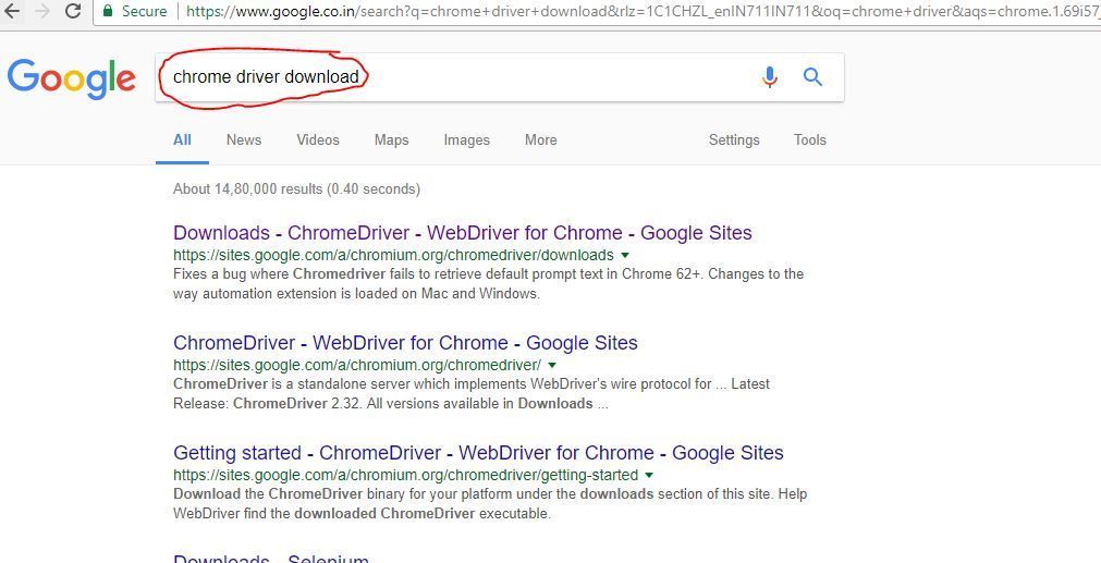 Chrome driver server selenium